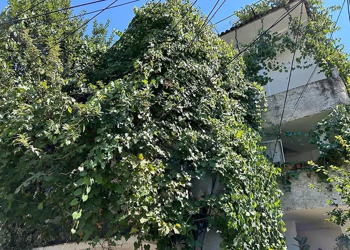 Central Stay Tirana 公寓