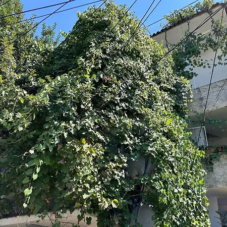 Central Stay Tirana Apartment